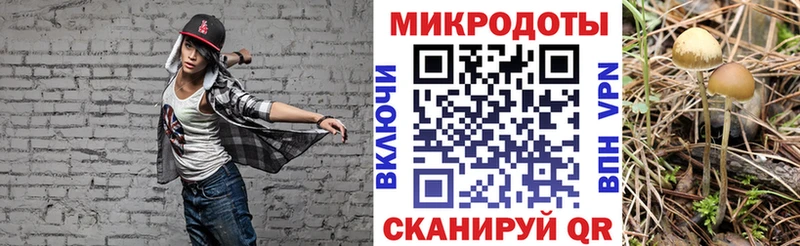 магазин продажи наркотиков Курильск Галлюциногенные грибы мухоморы